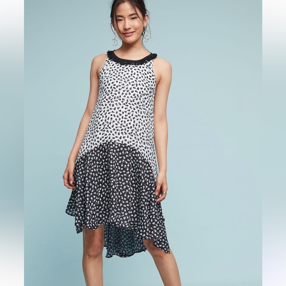 Eva Franco Anthropologie Claire Dress Black White Drop Waist Floral
